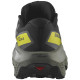 Salomon Ultra Flow 2 GTX